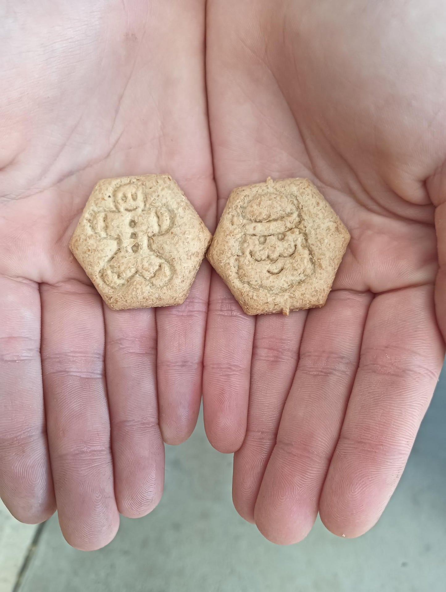 Christmas Biscuits Turkey & Cranberry Biscuits