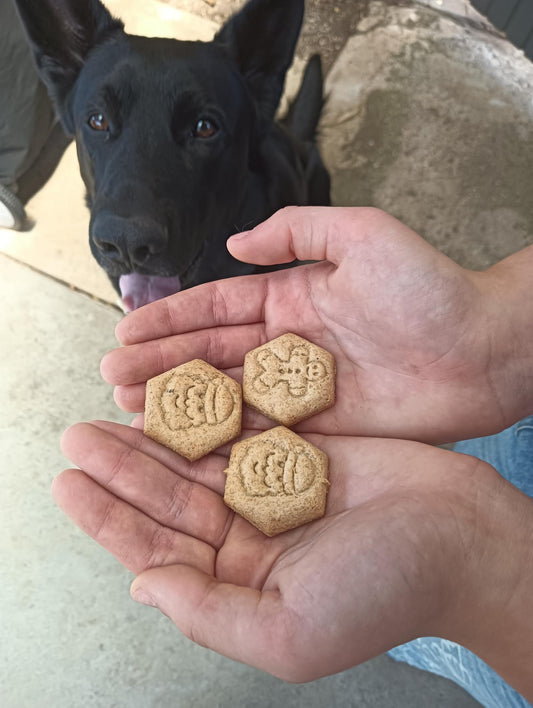 Christmas Biscuits Turkey & Cranberry Biscuits